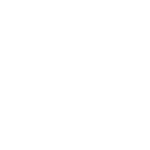 PPQM Logo Willow Chiropractic