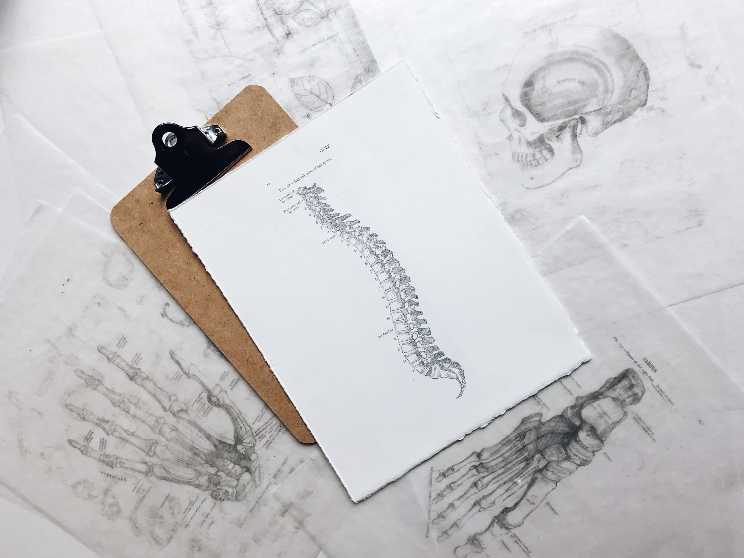 What is the difference between a Chiropractor and Physiotherapist?