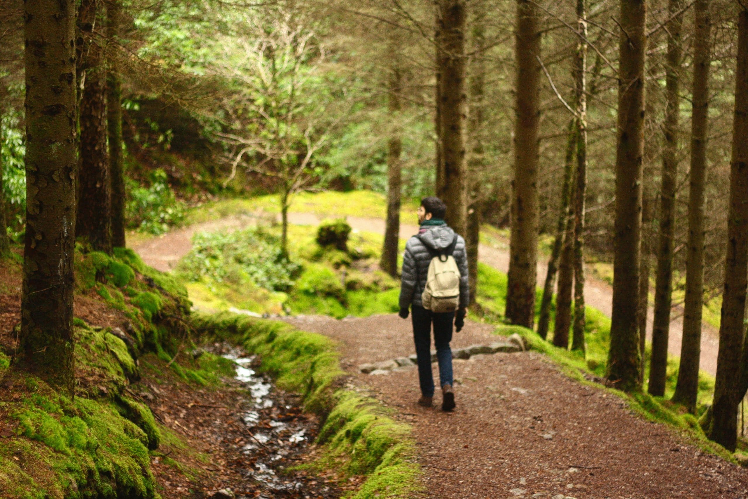 Walking Meditation