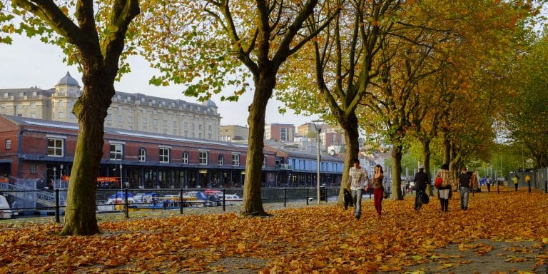 Autumn Walks in Bristol willow chiropractic - chiropractic care
