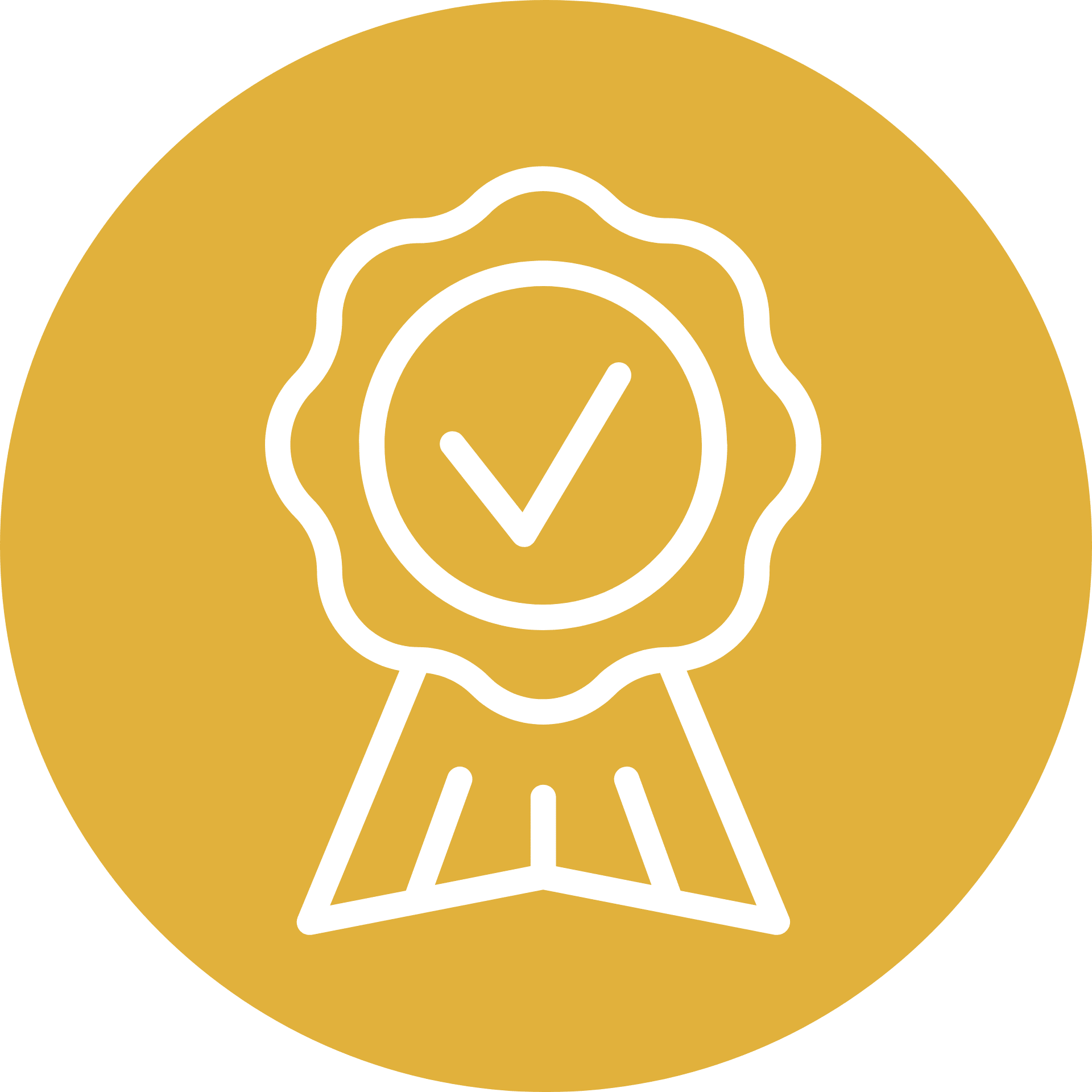 willow chiropractic location logo