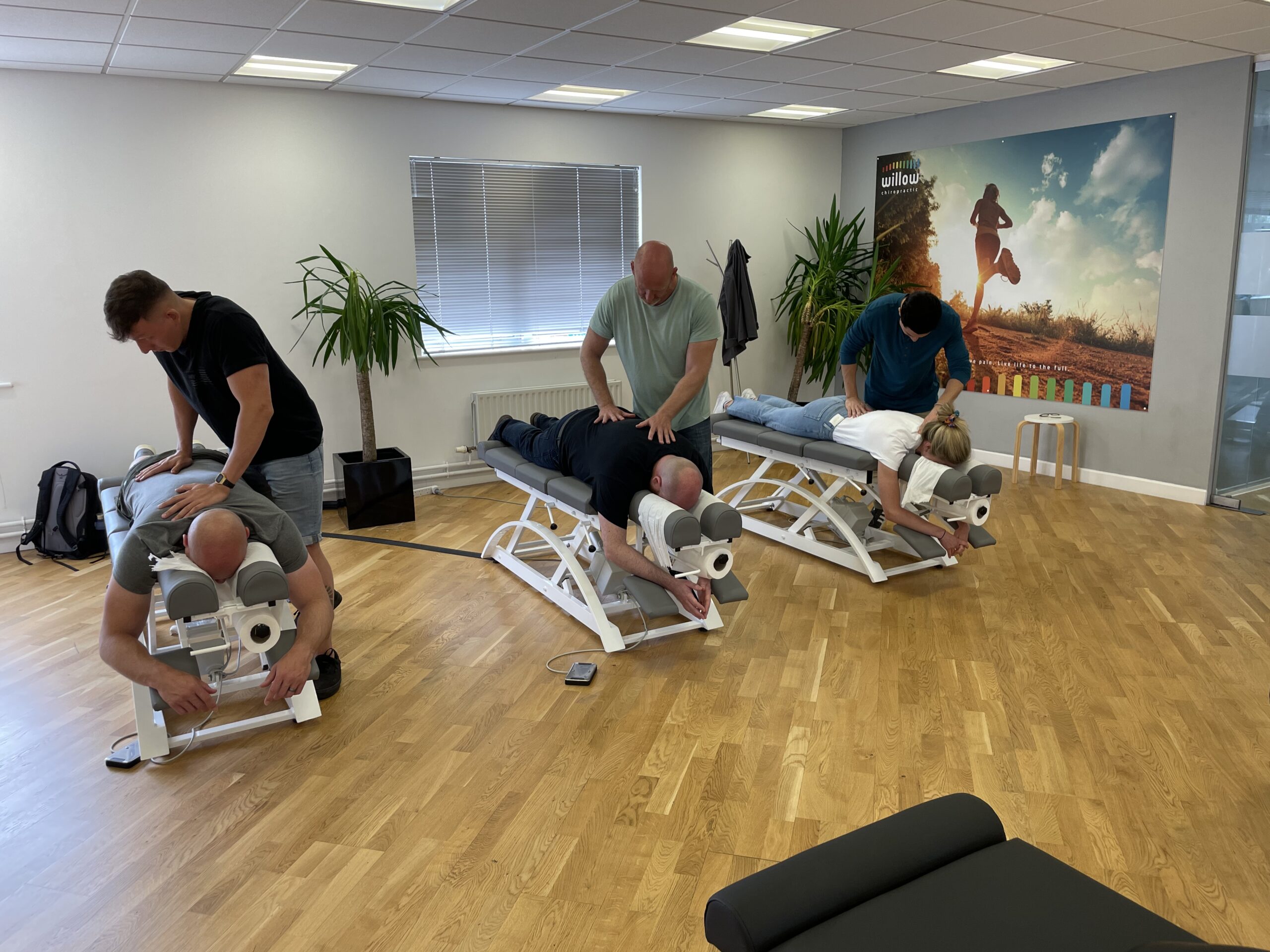 Our People - Team Collage Willow Chiropractic