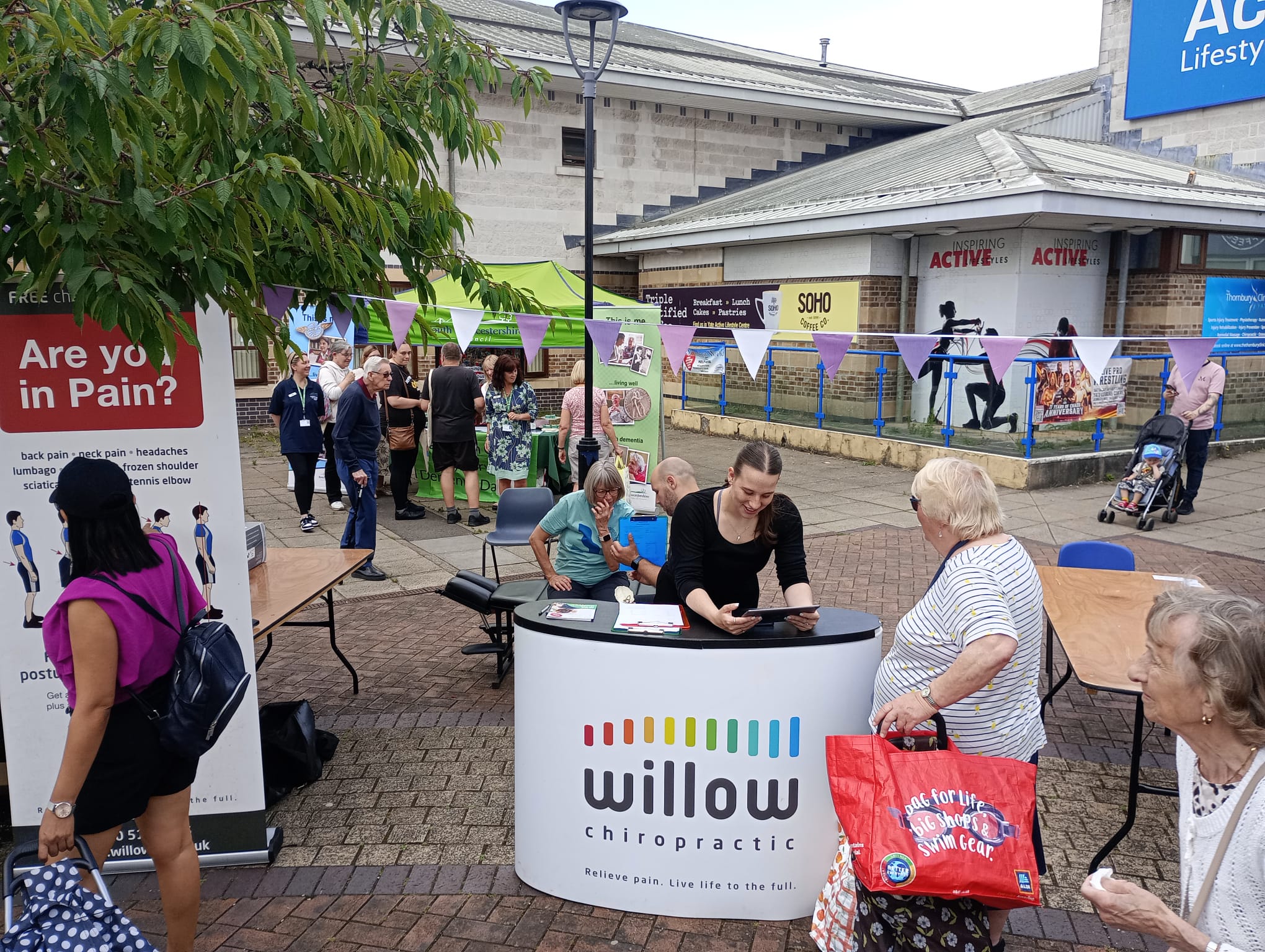Chiropractor at work Willow Chiropractic
