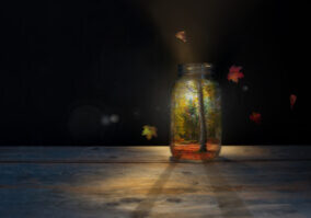 Autumn forest inside a jar with falling maple leaves outside